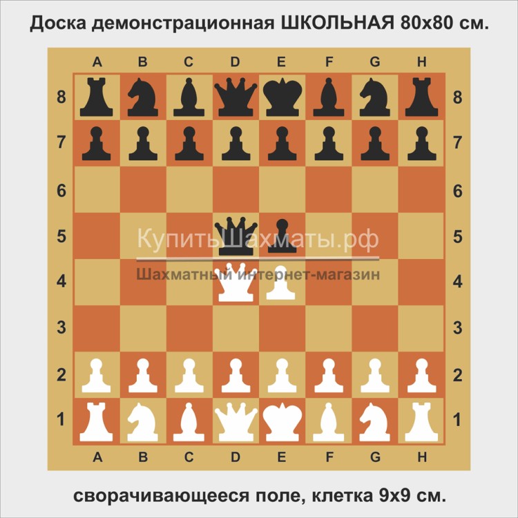 Доска шахматная демонстрационная ШКОЛЬНАЯ 80 см