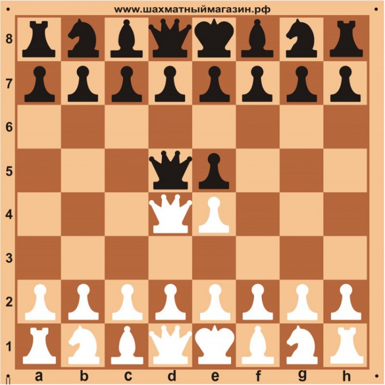 Доска шахматная демонстрационная ЦЕЛЬНАЯ 90 см