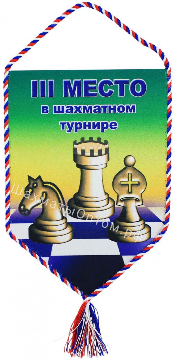 Грамота турнир по шашкам
