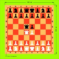Доска шахматная демонстрационная ЦЕЛЬНАЯ 125 см