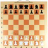 Фигуры шахматные пластиковые к магнитной демонстрационной доске 82 см.
