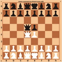 Доска шахматная демонстрационная ЦЕЛЬНАЯ 100 см
