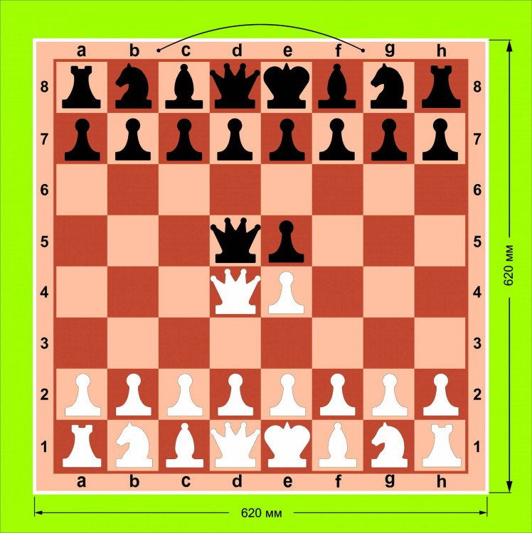 Доска шахматная демонстрационная ЦЕЛЬНАЯ 62 см