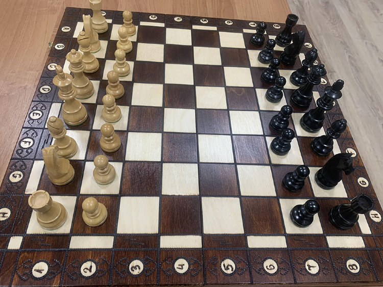 Шахматы Турнирные «Polgar в доске Амбассадор»